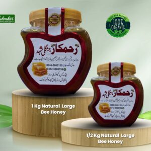 Big Bee Sidr Honey (Forest Sidr Honey) Rs 3800